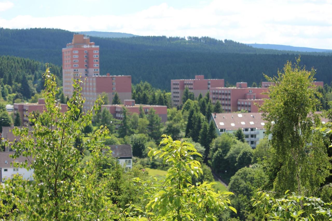 Ferienwohnung Sonnenblick Altenau  Exteriér fotografie